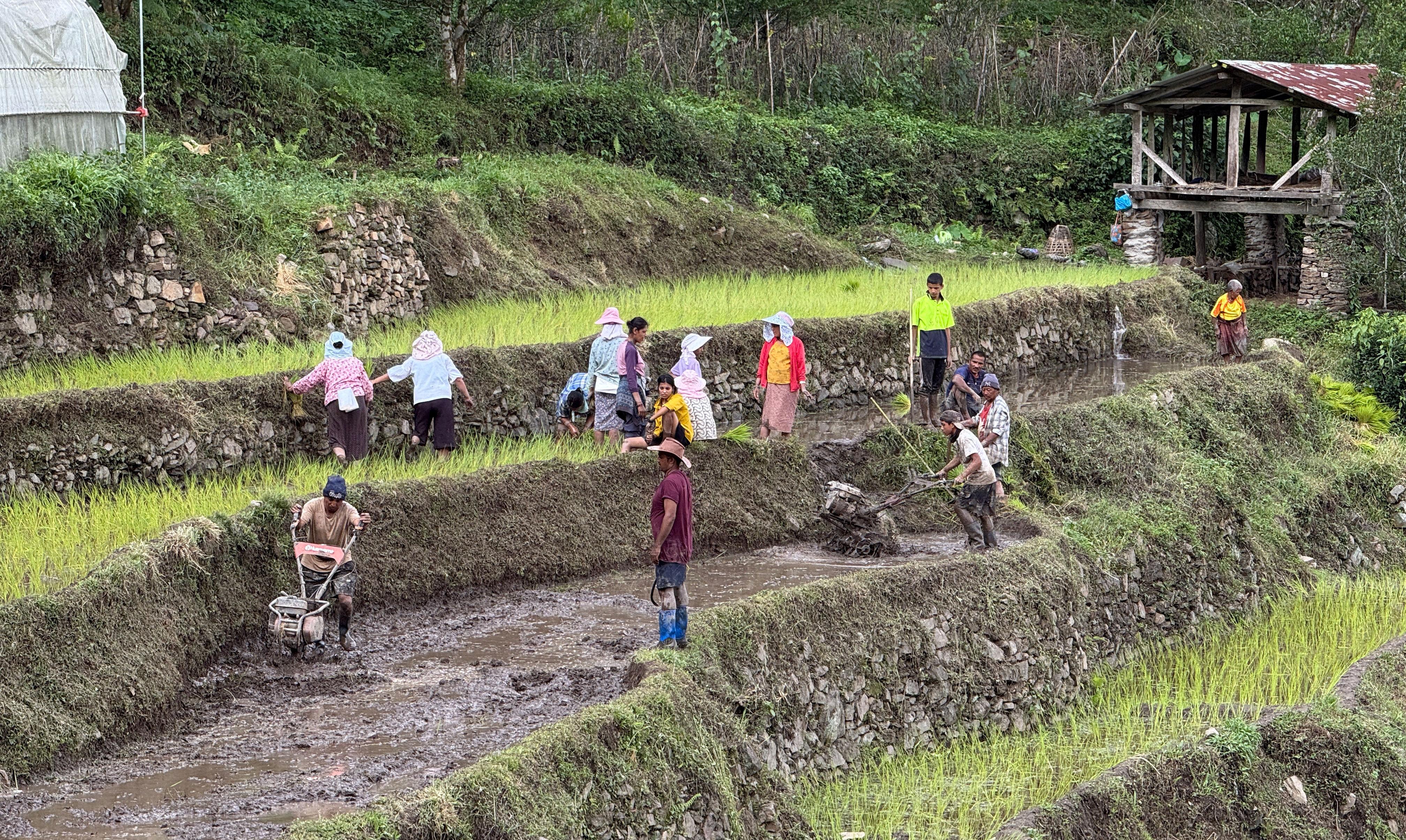 Shrinking farmland threatens food self-reliance goals