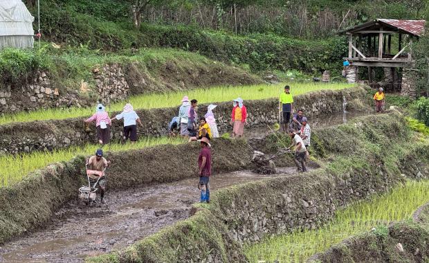 Shrinking farmland threatens food self-reliance goals