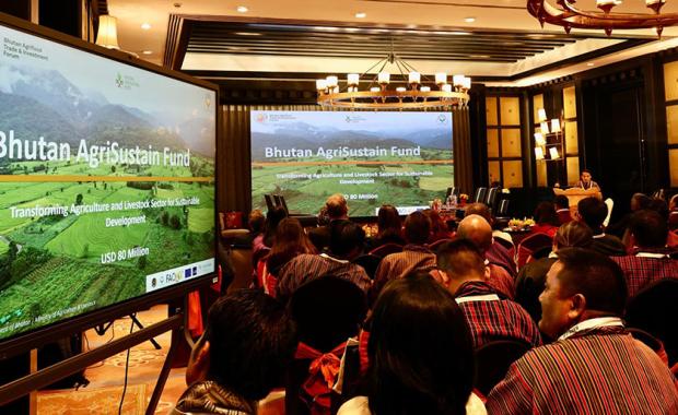 BATIF 2.0 draws global investors for high-value agriculture projects