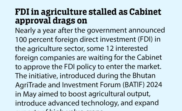 FDI in agriculture stalled as Cabinet approval drags on