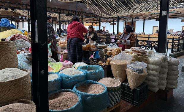 FMCL launches local rice production initiative