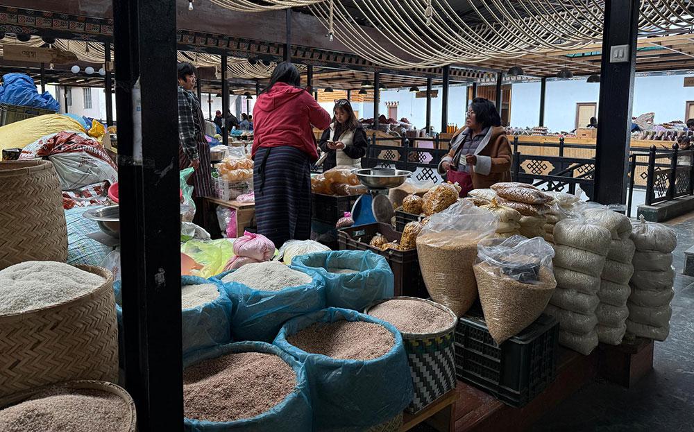FMCL launches local rice production initiative