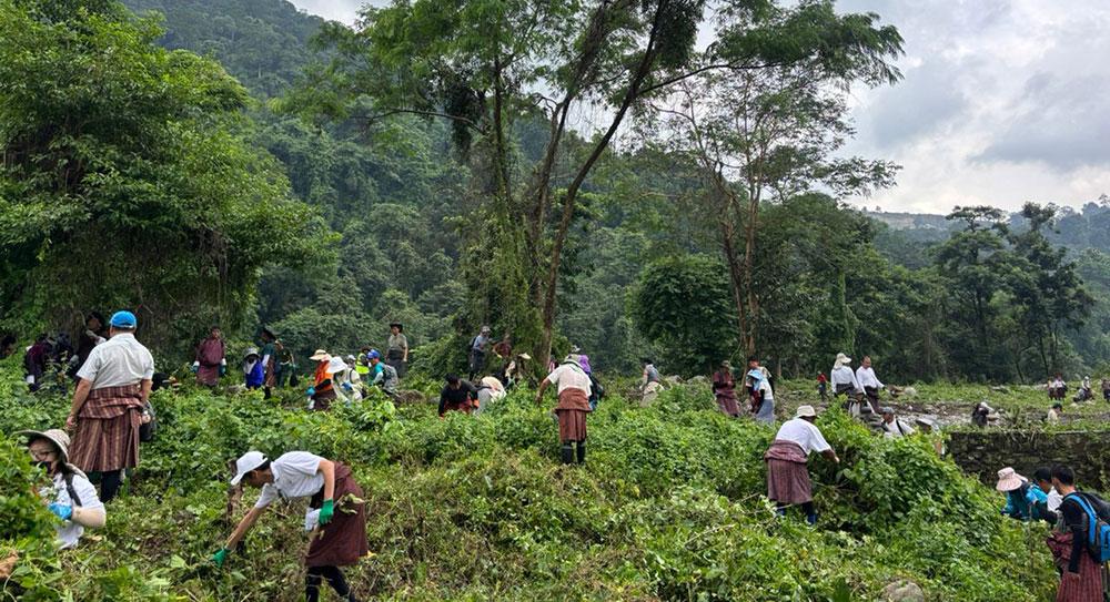 Many hands, one purpose in Gelephu