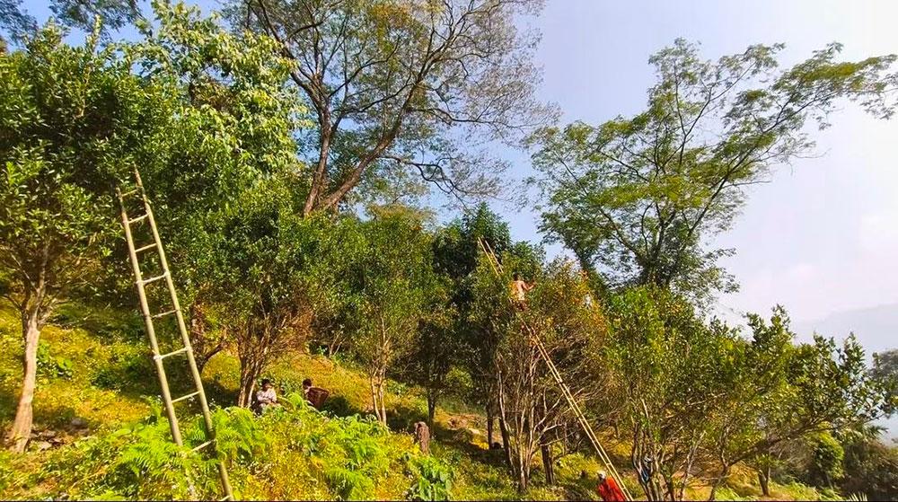HiHi targets USD 97.69 million investment to transform Bhutan’s agrifood sector