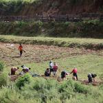 SDG progress strong, but youth unemployment and migration pose challenges