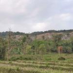 SMCL restores paddy field damaged by mine-related erosion in Samdrupjongkhar