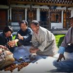 Mountain Hazelnuts earns Rainforest Alliance Certification