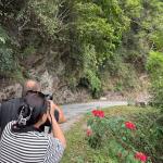 In Zhemgang, even the forest has a voice