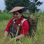 “Bhutan must treat agriculture as economic mandate to secure food future”