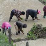 Bhutan AgriSustain Fund: USD 80 million ambition, mobilisation at early stage