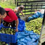 BAIL provides market, helps farmers cut post-harvest losses and boost income