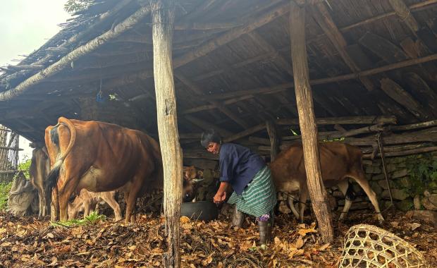 སིས་ཊི་མ་བ་ཡོ་གེས་རིམ་ལུགས་ཀྱིས་ ཆ་གླིང་རྒེད་འོག་ནང་ ཕན་ཐོགས་བྱུང་སྟེ་ཡོདཔ།
