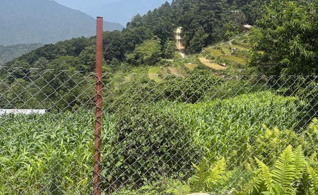 Chain-link fencing gives hope to farmers