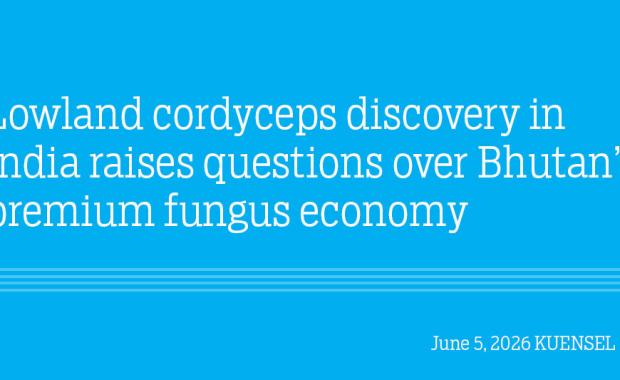 Lowland cordyceps discovery in India raises questions over Bhutan’s premium fungus economy