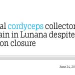 Illegal cordyceps collectors remain in Lunana despite season closure