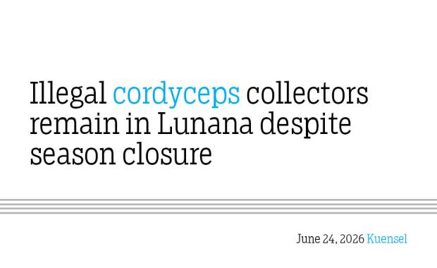 Illegal cordyceps collectors remain in Lunana despite season closure