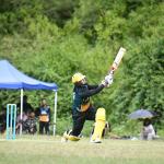 Super 40 gives domestic cricketers more playing opportunities
