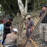 New hybrid fence brings relief to farmers in Dawakha
