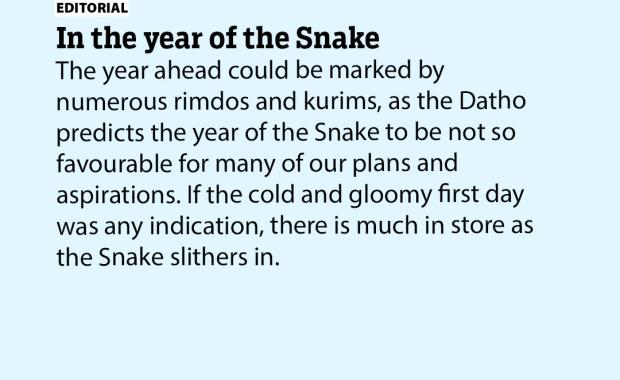 In the year of the Snake
