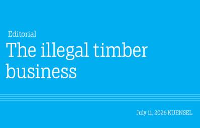 The illegal timber business