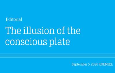 The illusion of the conscious plate