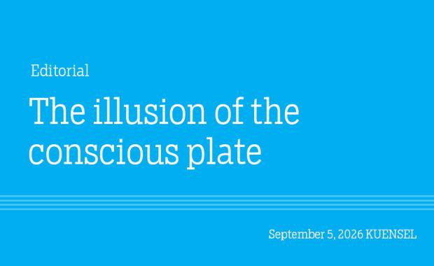 The illusion of the conscious plate