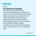 Our forests are burning