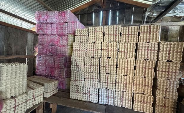 Tsirang egg tray plant to enhance domestic production