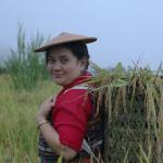 Bhutanese entrepreneur wins Bayer Foundation Award