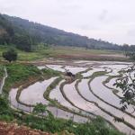 Chainlink fence brings relief to farmers battling crop loss in Samtse