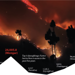 Blazing cost of forest fires