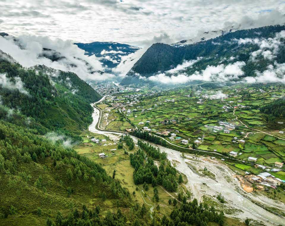 ACC suspends 18 sawmills in Haa and Paro over alleged corruption