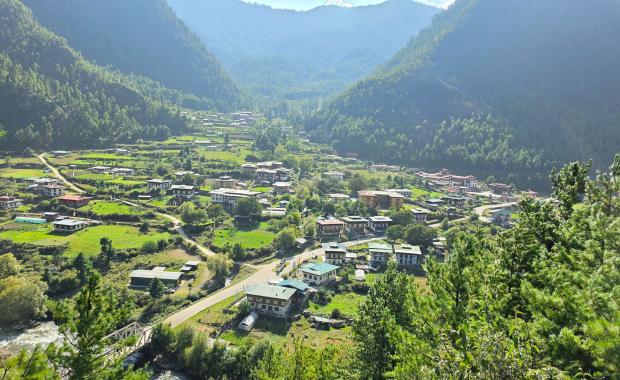 ACC implicates 59 in alleged timber corruption case in Haa
