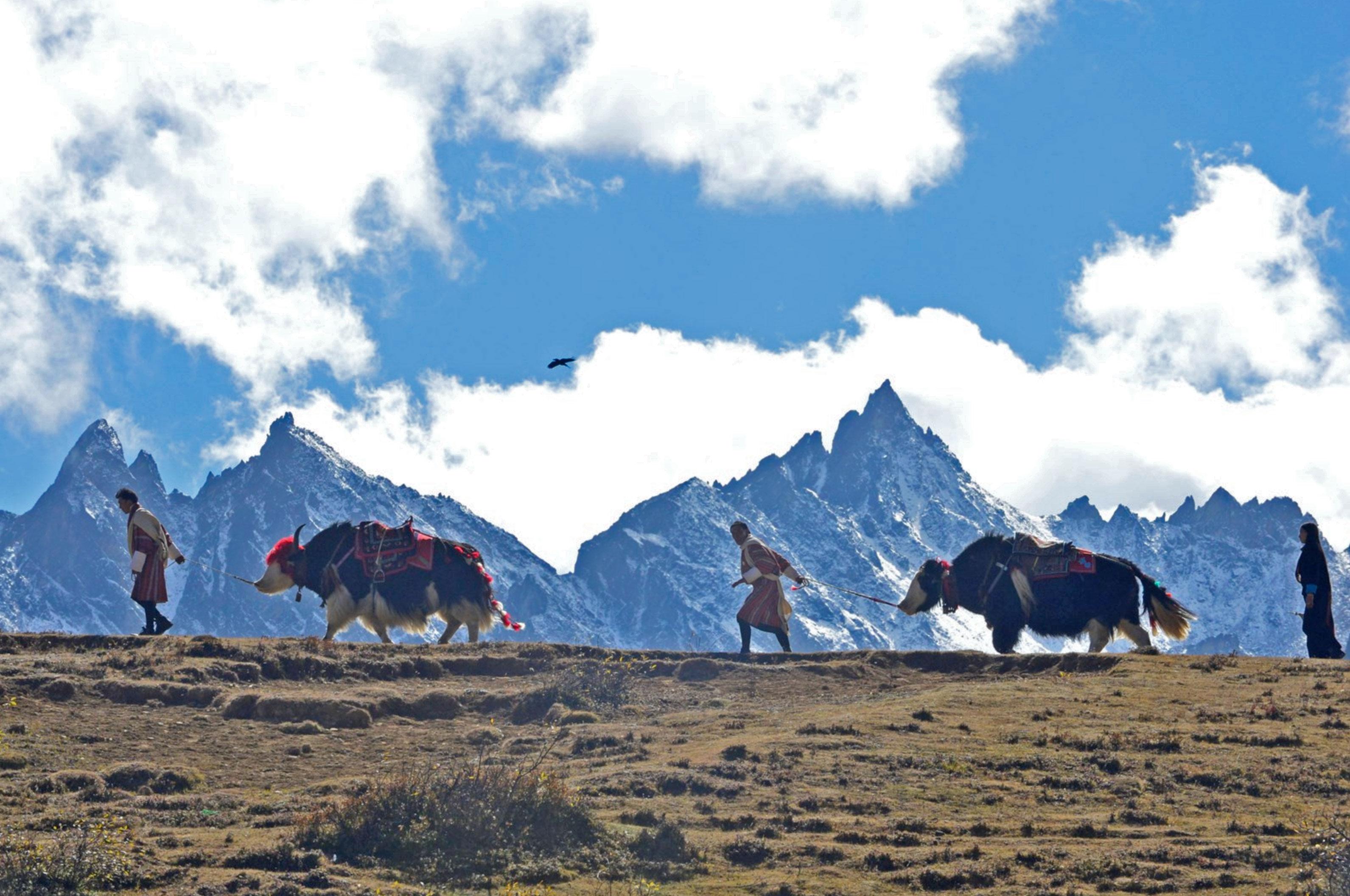Govt. steps up efforts to improve livelihood of highlanders