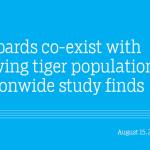 Leopards co-exist with growing tiger population, nationwide study finds