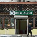 BLDCL at loggerheads with private retail outlets and distributors