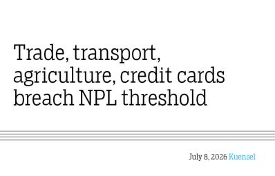 Trade, transport, agriculture, credit cards breach NPL threshold
