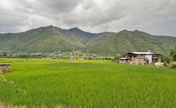 Agriculture and livestock sector misses emission target