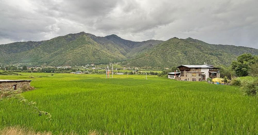 Agriculture and livestock sector misses emission target