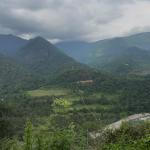 International review puts country’s forest carbon credits within reach