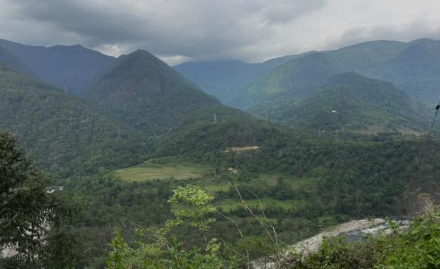 International review puts country’s forest carbon credits within reach