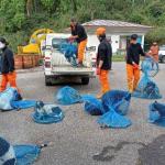 Bhutan becomes second country in the world to eliminate dog-transmitted rabies