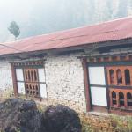 Falling enrolment closes 42 schools, more face closure