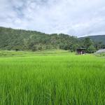 ཉི་དྲོད་ཐོག་གི་ཆུ་གཡུར་ལས་འགུལ་དེ་ གྲོང་གསེབ་ཚུ་ནང་ ཁེ་ཕན་སྦོམ་ཤོས་ཅིག་ཨིནམ།