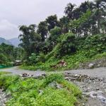 Budget constraints leave Tading-Phuentshopelri road in poor condition