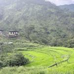 Zawa village’s second chance to bring back White-Bellied Heron