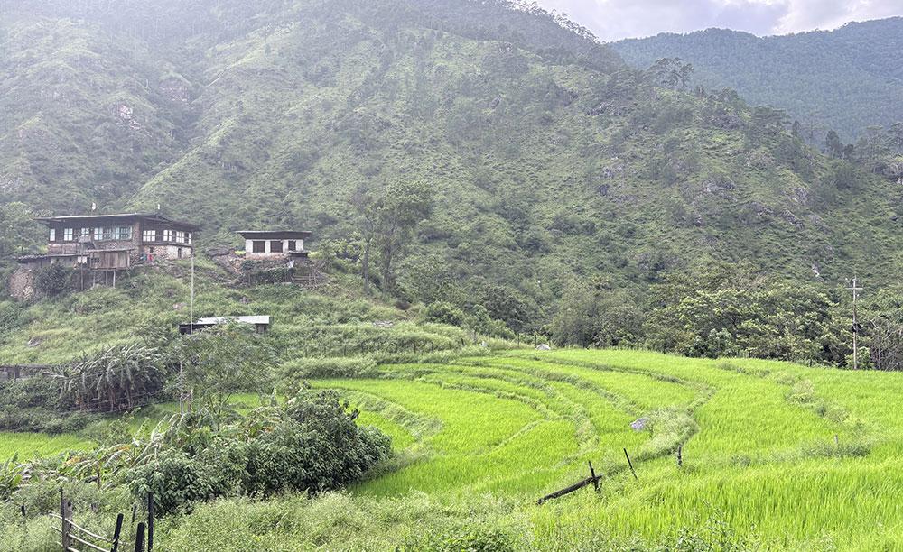 Zawa village’s second chance to bring back White-Bellied Heron